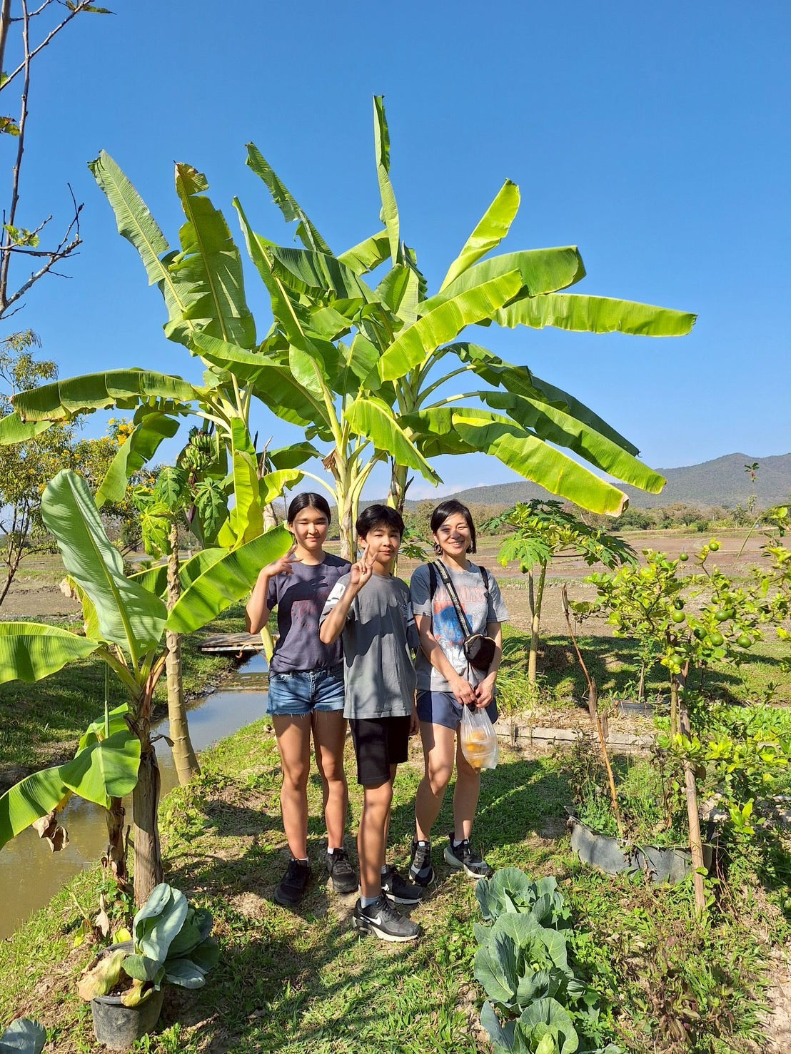 Co all Day Chiang Mai: 9 hour bicycle / train / cooking