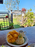 Co all Day Chiang Mai: 9 hour bicycle / train / cooking