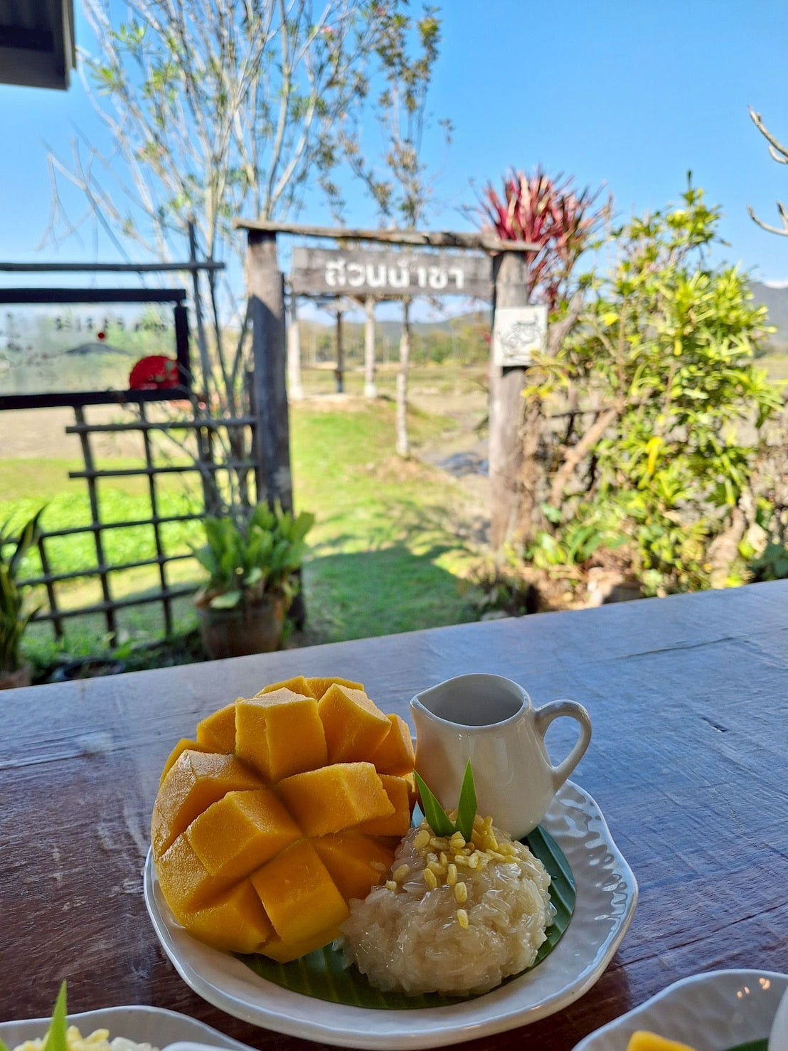 Co all Day Chiang Mai: 9 hour bicycle / train / cooking