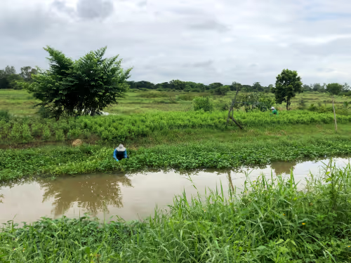 See the Real Chiang Mai: Rural Cycle and Songthaew Adventure