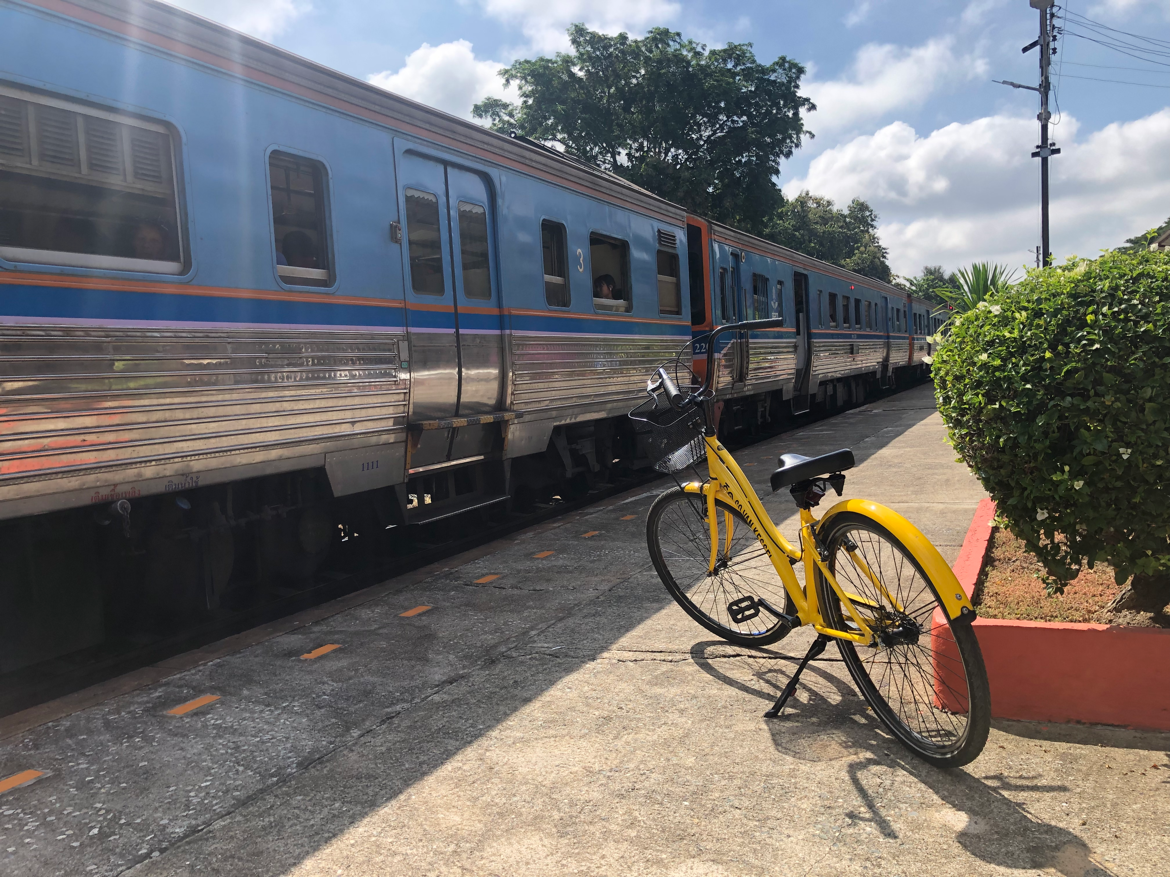 Co all Day Chiang Mai: 9 hour bicycle / train / cooking