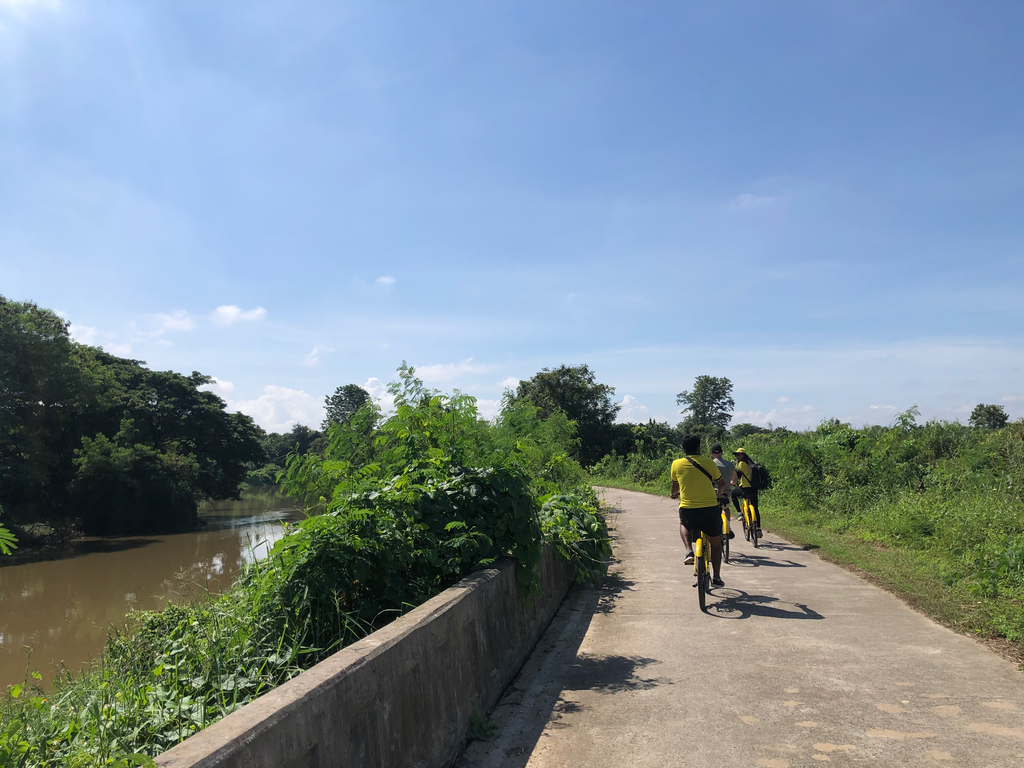Co all Day Chiang Mai: 9 hour bicycle / train / cooking