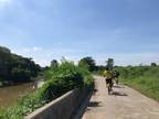 Co all Day Chiang Mai: 9 hour bicycle / train / cooking