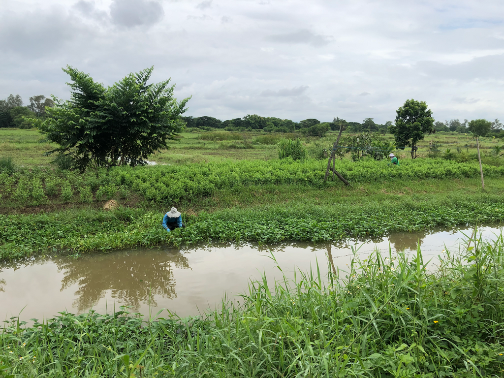 Co Countryside Chiang Mai: Rural Cycle and Songthaew Adventure