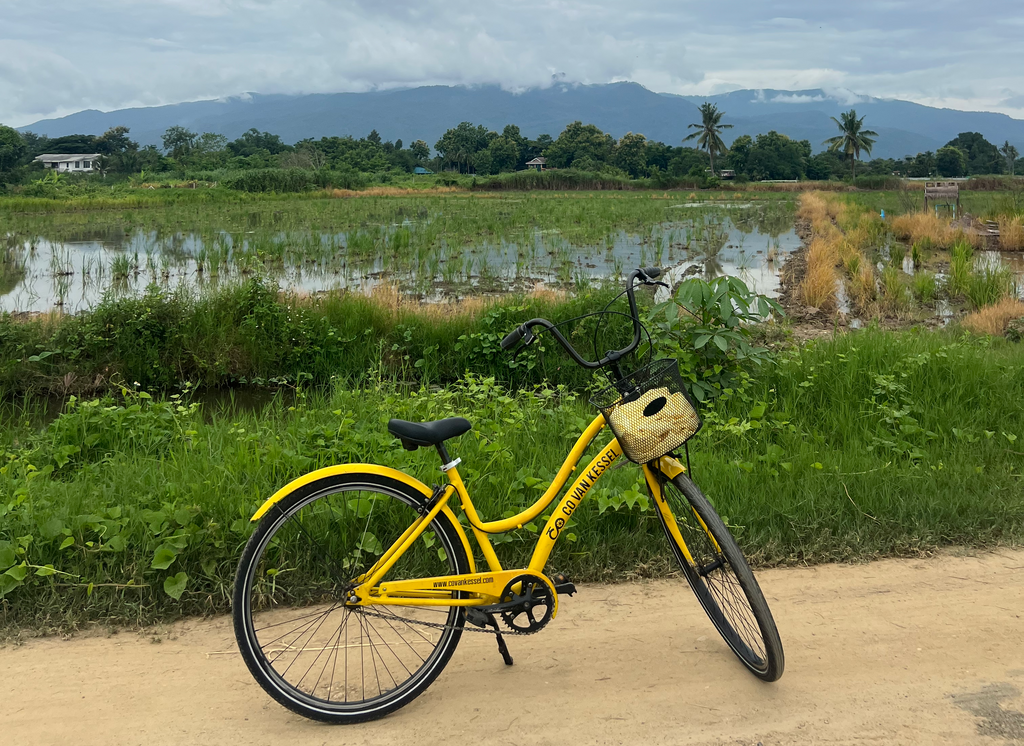 Co Countryside Chiang Mai: Rural Cycle and Songthaew Adventure