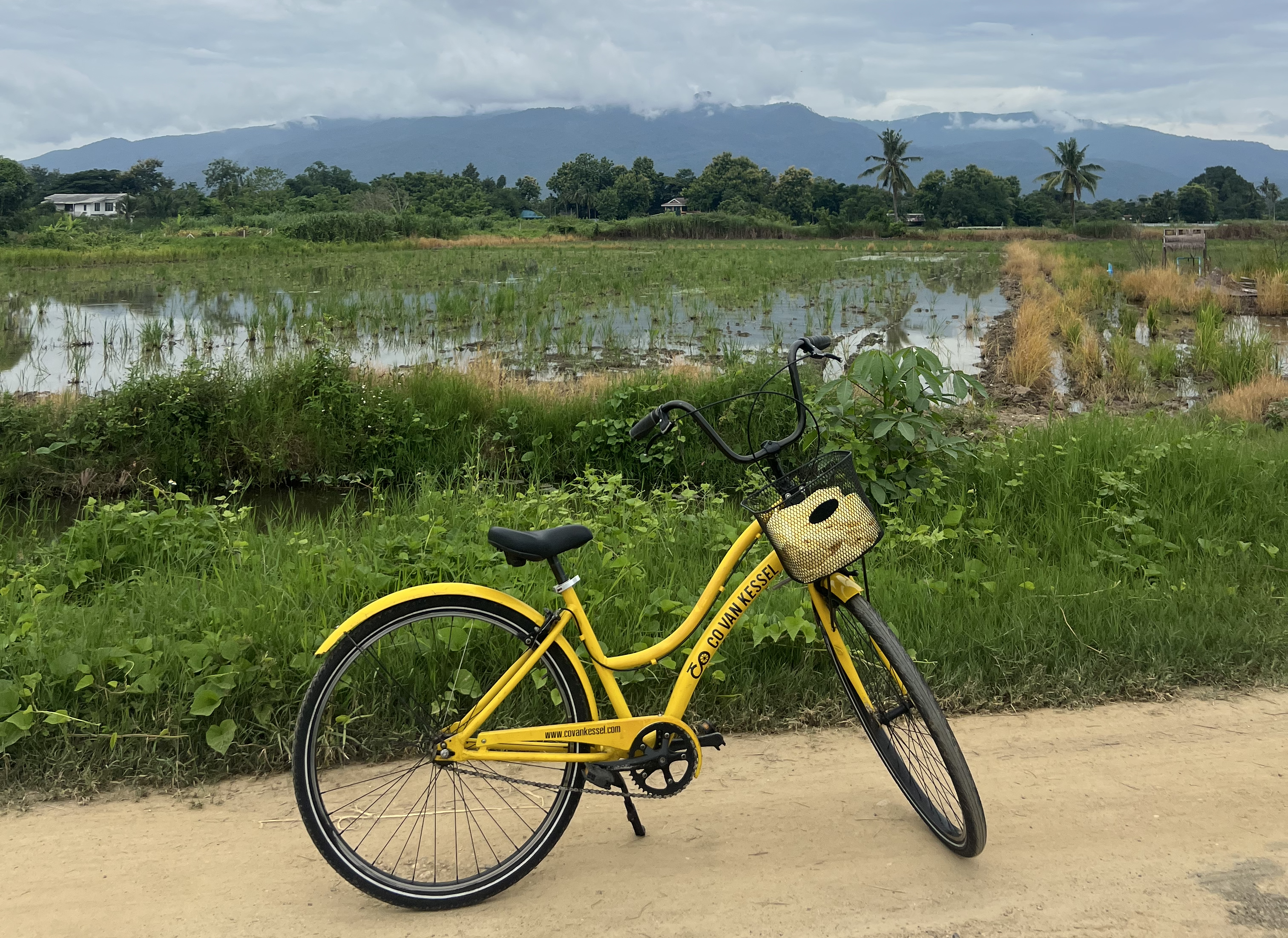 Co Countryside Chiang Mai: Rural Cycle and Songthaew Adventure