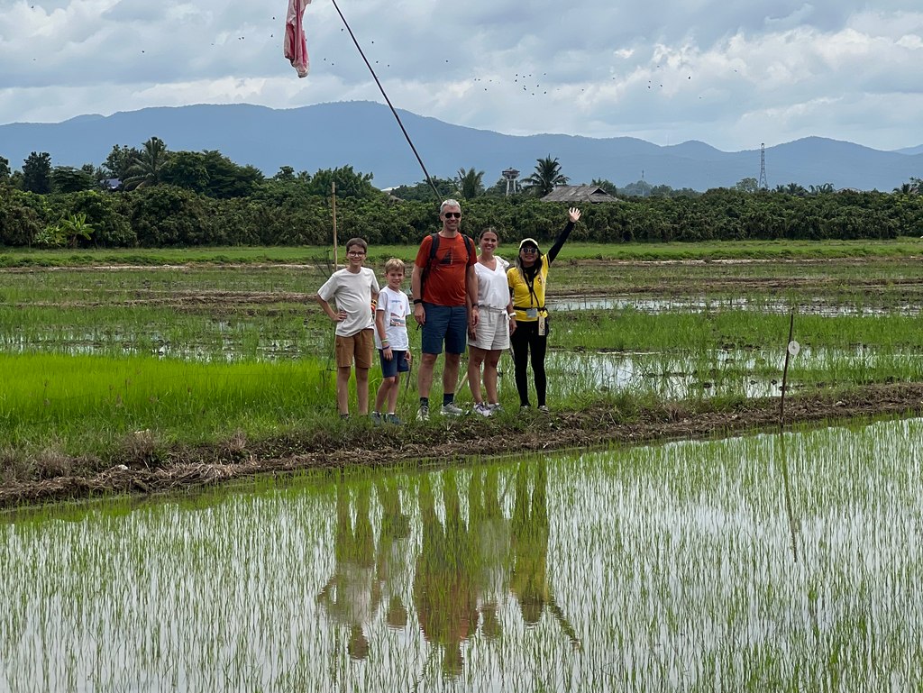 Co Countryside Chiang Mai: Rural Cycle and Songthaew Adventure