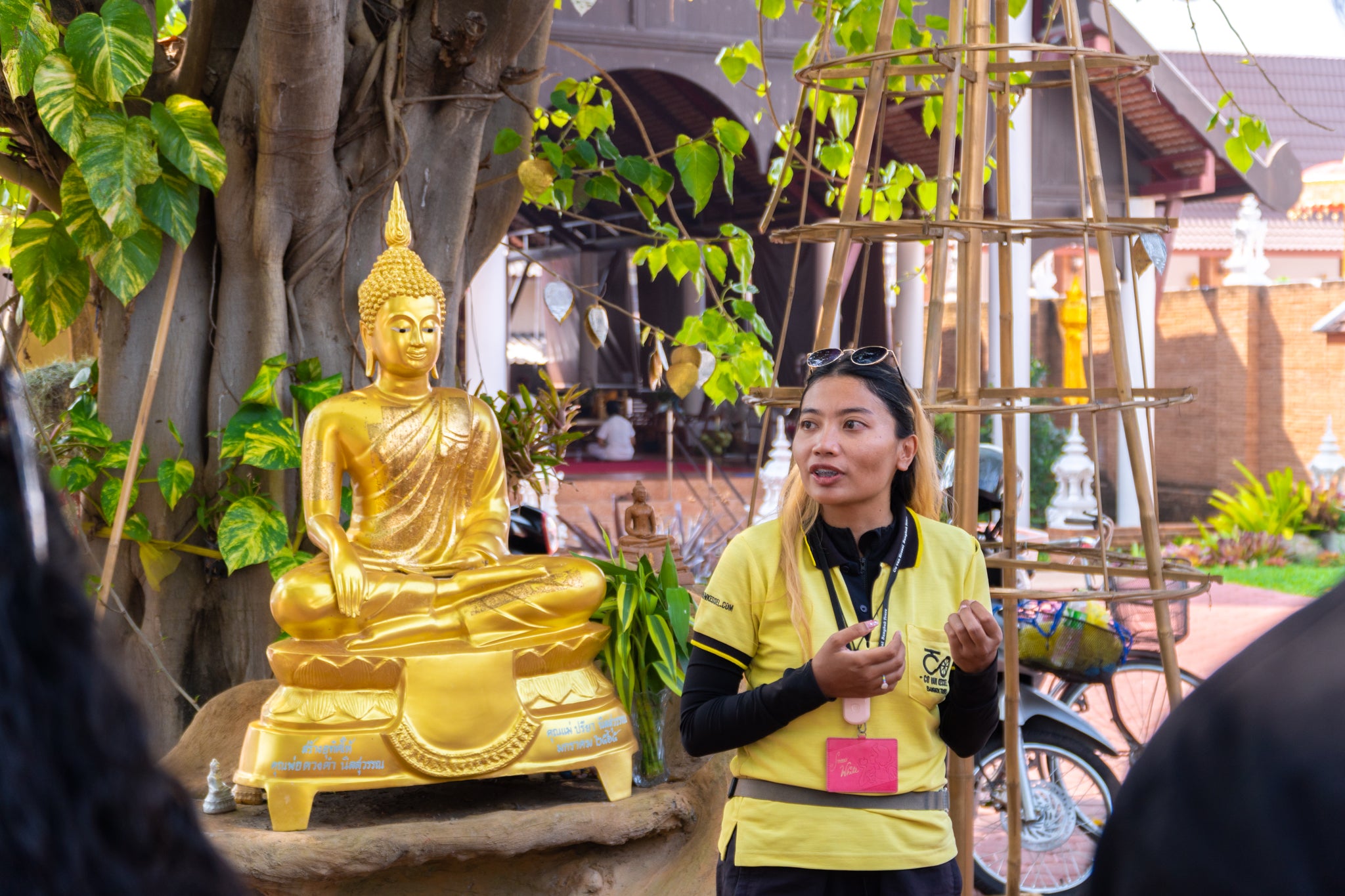 Co Classical: 3-hour Chiang Mai by Bicycle