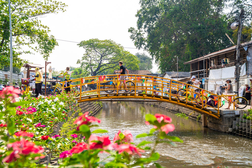Co Classical: 3-hour Chiang Mai by Bicycle